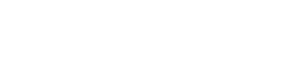 Blockchain PRO